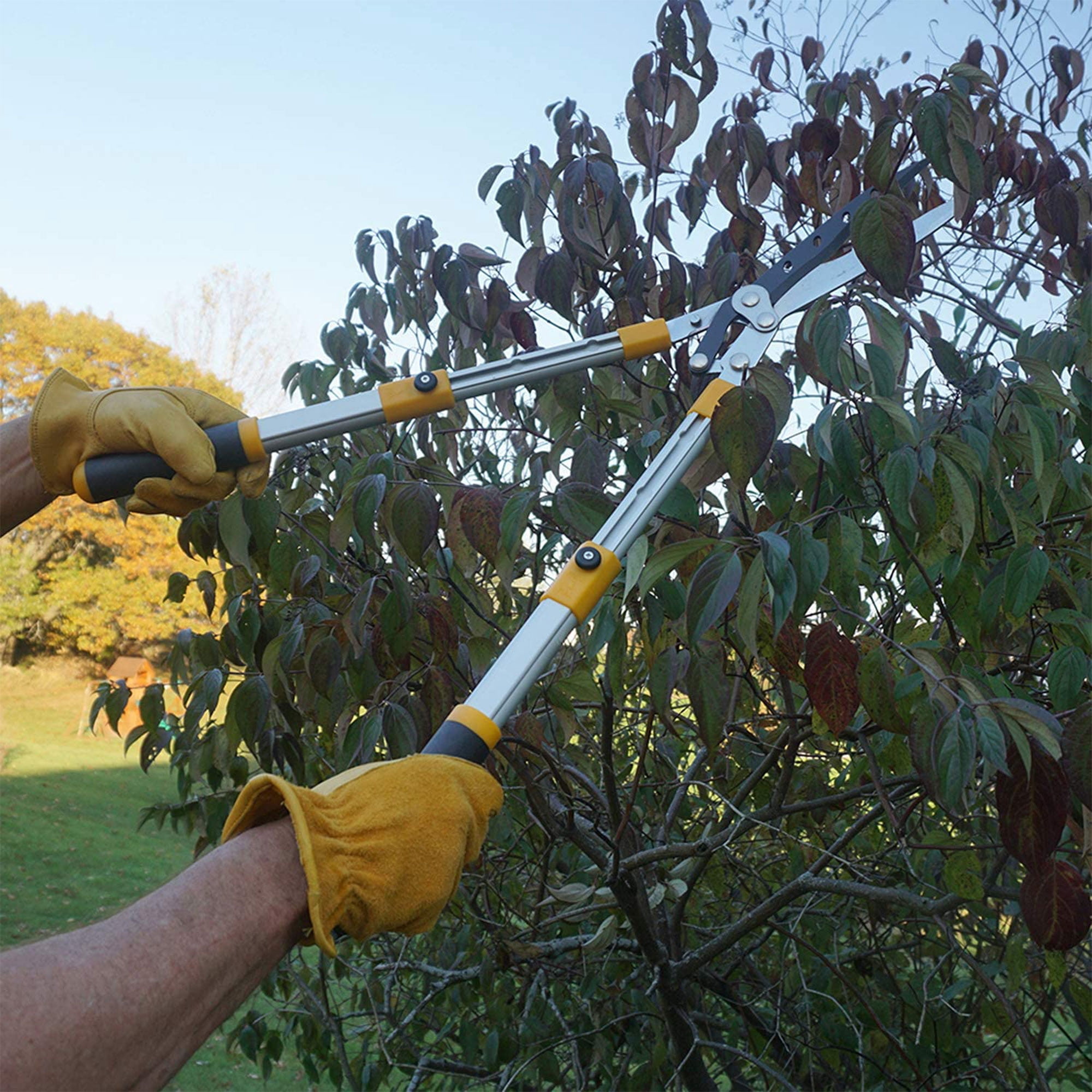 Centurion 75 Upgraded Telescoping Hedge Trimmer Shears with 9 Inch Blades
