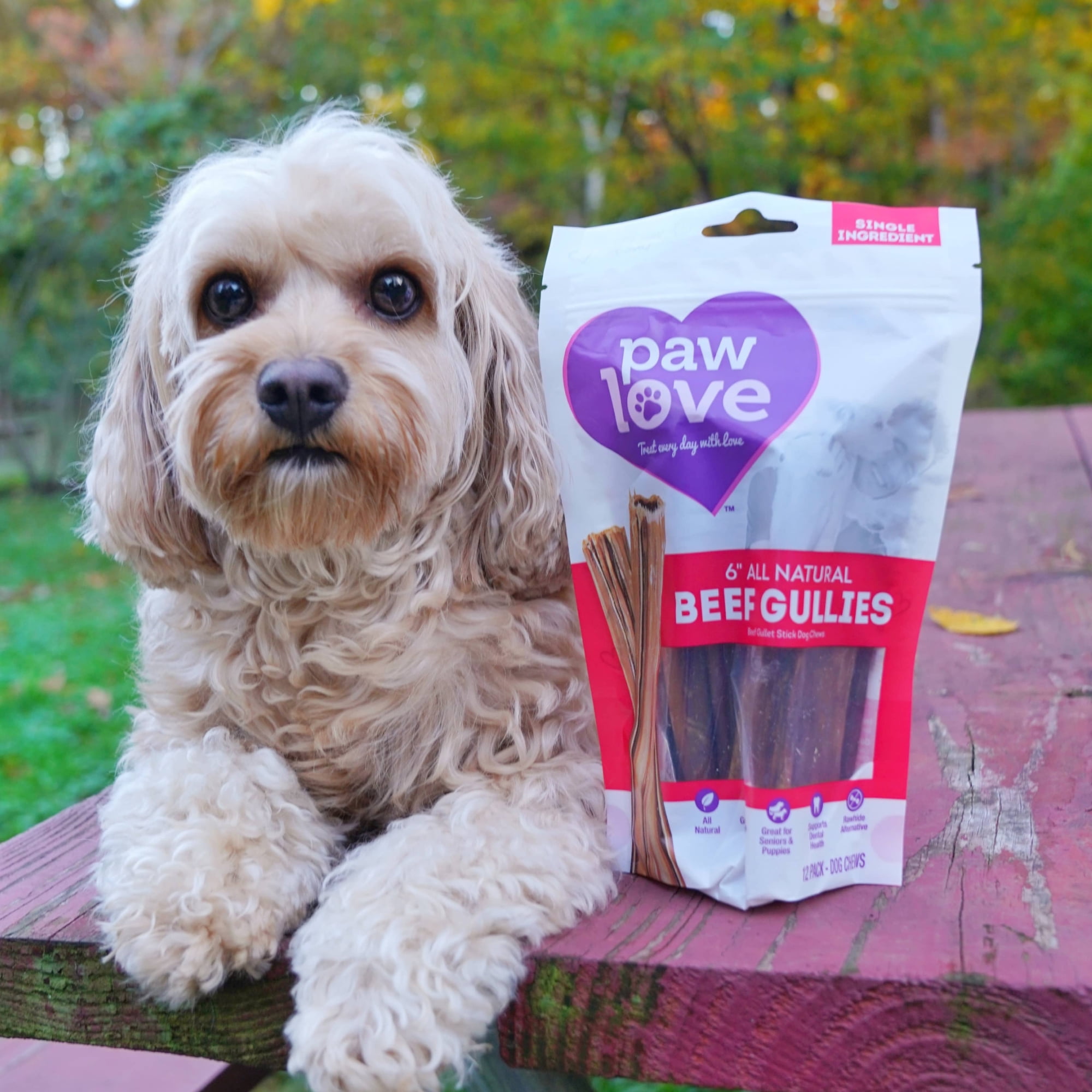 Paw Love All Natural Beef Gullet Dog Chew Treats, Single Ingredient, 6" Chew, 12pk