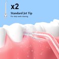 thumbnail image 3 of GAXIRE 1 juego de puntas de repuesto para hilo dental Coslus, puntas de chorro, cabezales de limpieza dental, accesorios para hilo dental., 3 of 6