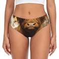 thumbnail image 1 of Balery Cow With Butterflies Lilies Ropa Interior de Algodón para Mujer con Dibujo – Braguitas Cómodas y Elásticas, Estilo Clásico-3X-Large, 1 of 6