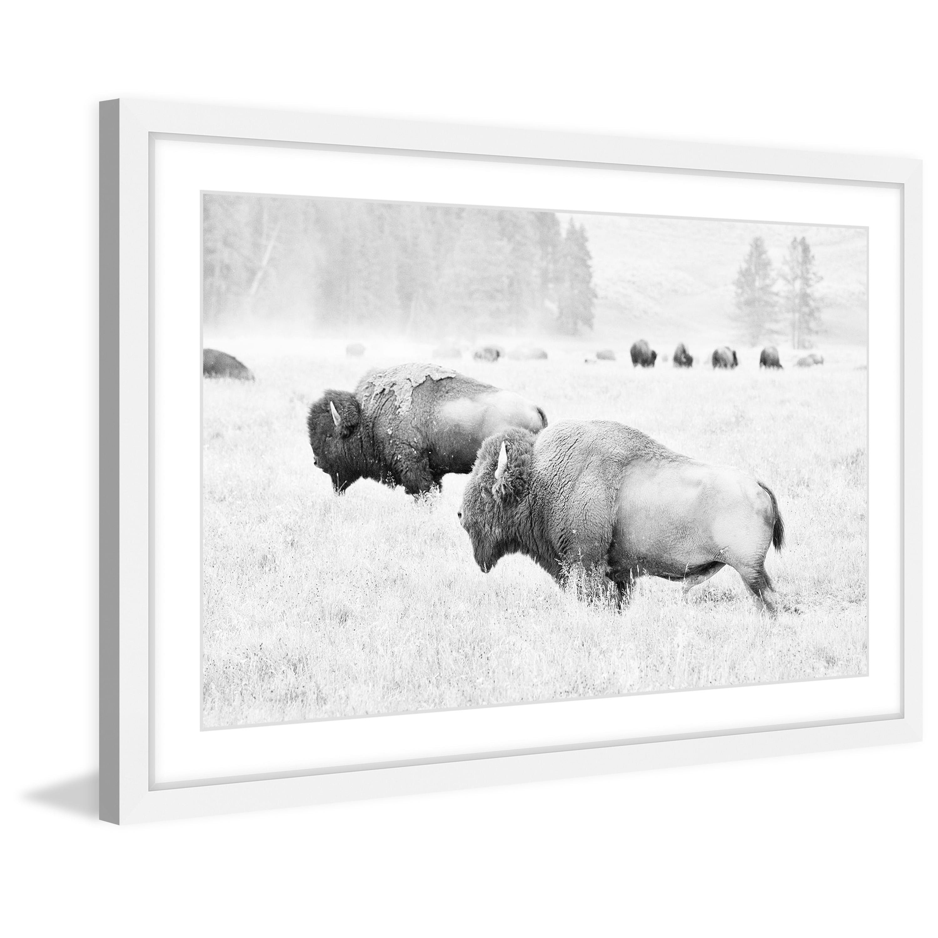 Marmont Hill "Buffalos Two" Framed Painting Print