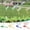 B, variant on POLISE Spaces 20 Pcs Dragonflies Iron Garden Stakes Insert Dragonfly Yard Ornaments for Flower Pots Outdoor Patio Lawn