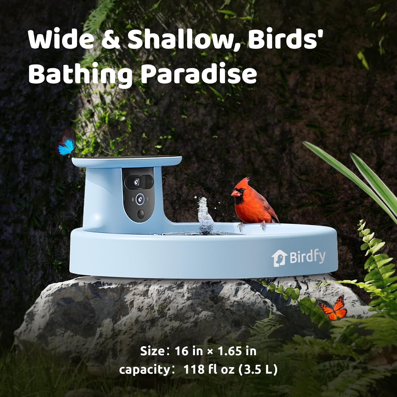 Birdfy Bird Bath with Camera, Solar Powered, Round Pond Fountain, 1080P HD Bird Camera Auto Capture Bird Bath Videos, Blue