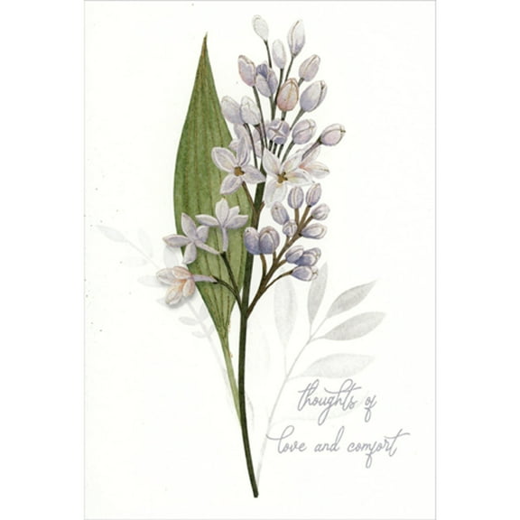 Pictura Thoughts of Love and Comfort: Small White Flowers and Single Green Leave Sympathy Card