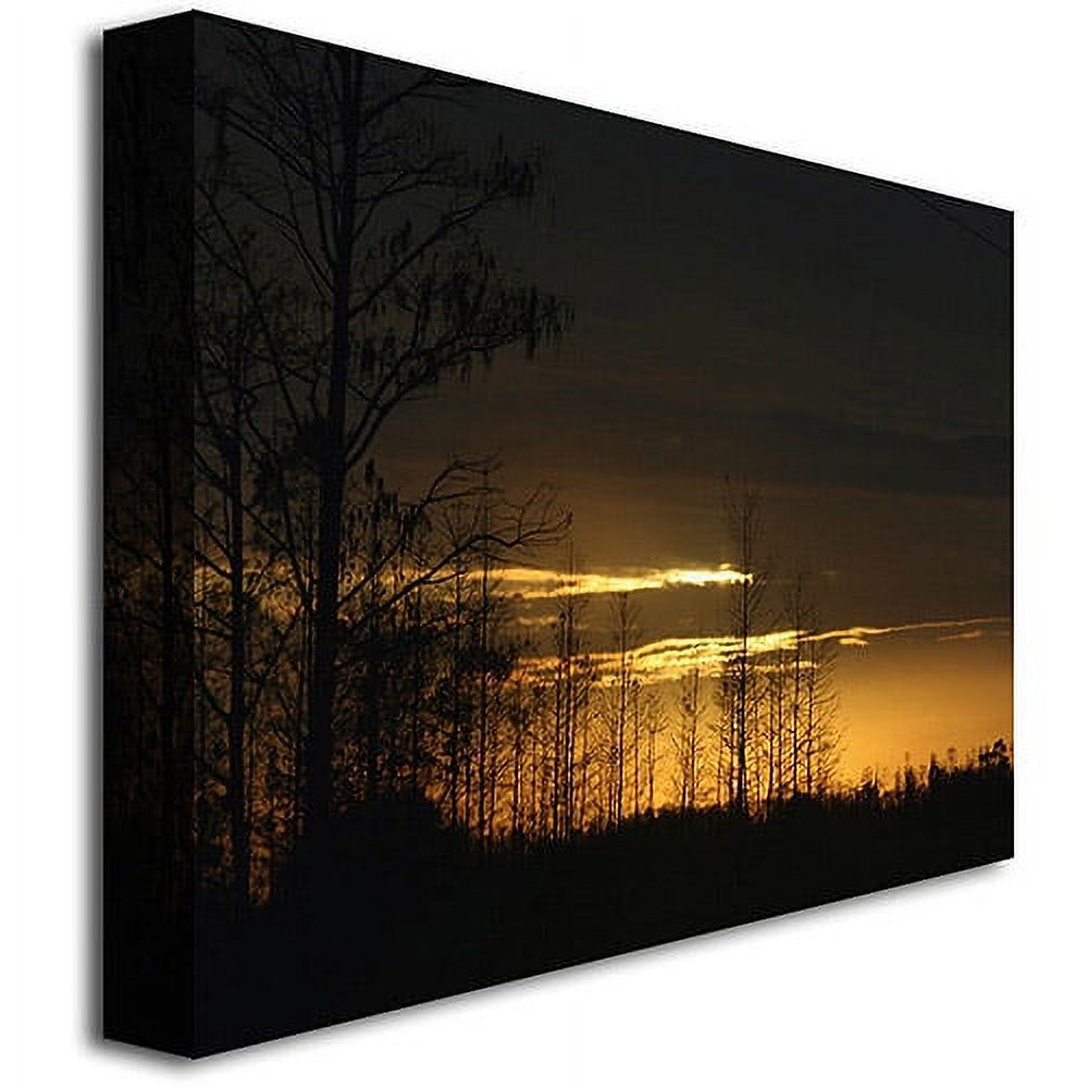 Trademark Fine Art "Trees at Dusk" Canvas Art by Patty Tuggle