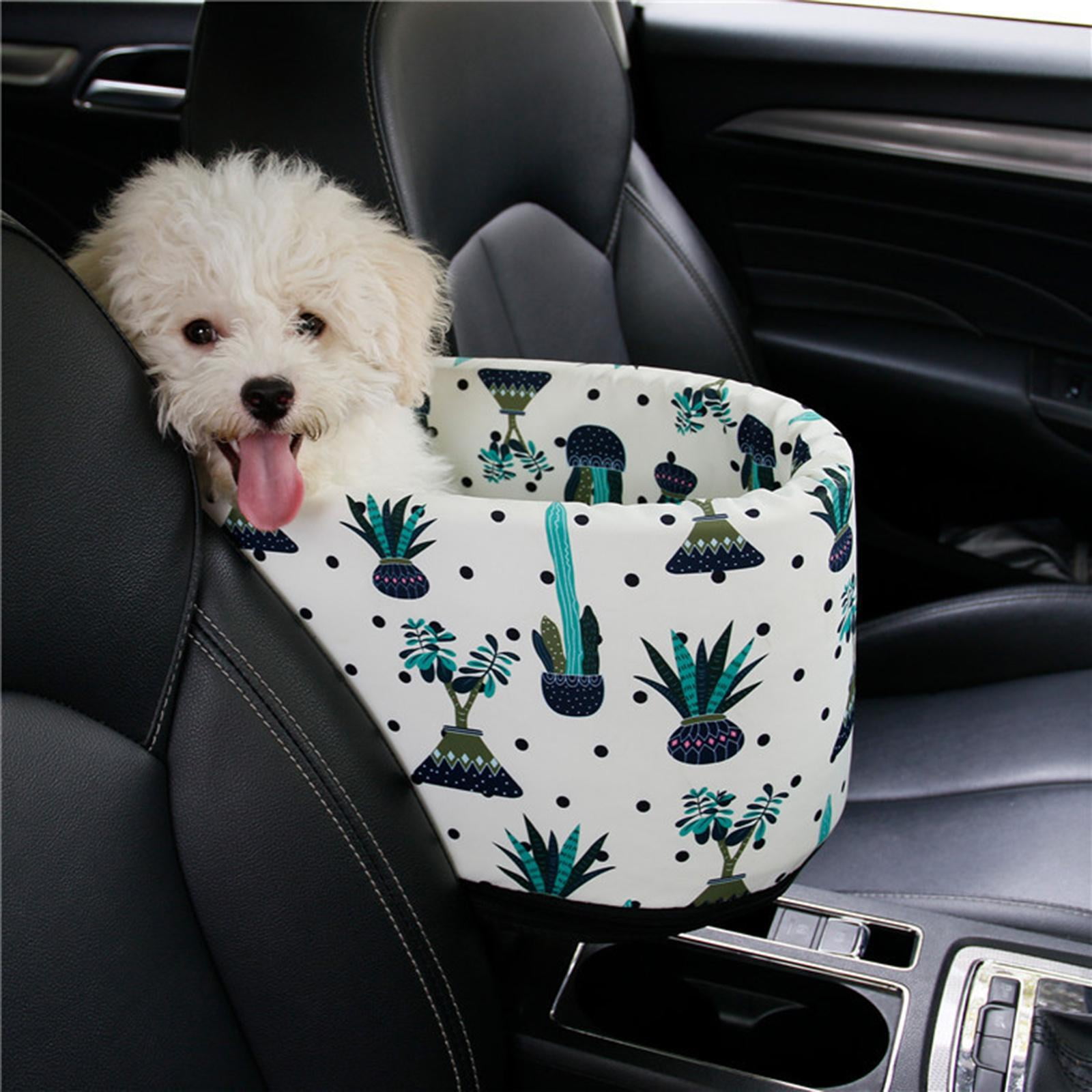 Dog car crate online