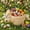 Beige BG, variant on Naittoop Easter Basket with Handle Bunny Easter Woven Picnic Basket for Kids with Cute Rabbit Ears Rattan Gift Wicker Wine Woven Empty for Candy Storage Toy Girl Party Supplies Begie