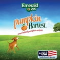 thumbnail image 3 of Emerald Pet Pumpkin Harvest Mini Trainers: Protein-Sensitive Dog Chew Treats, 3 of 4