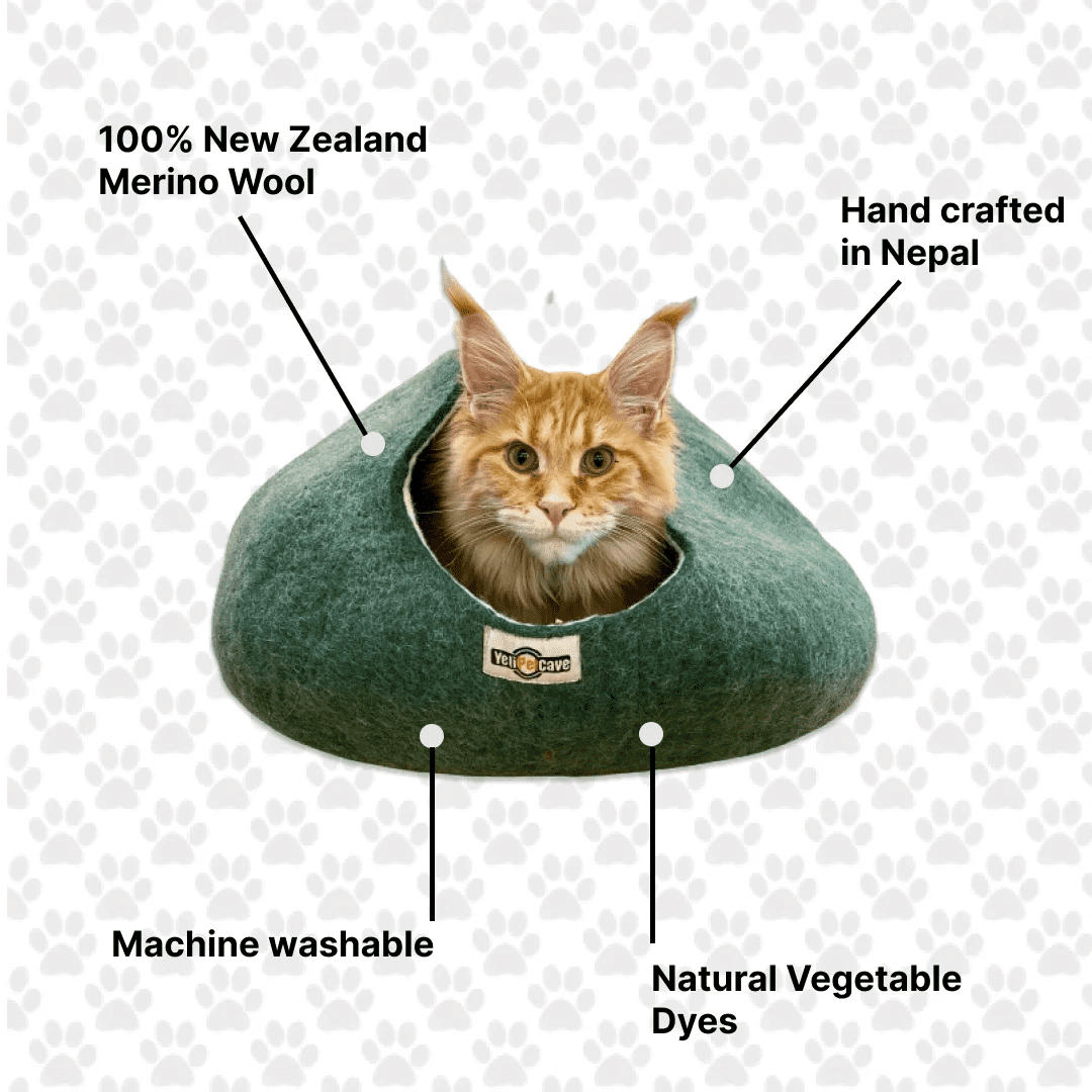 Yeti Pet Cave Bed for Cats, Small Dogs, and Other Small Pets or Critters, 100% New Zealand Wool, Green, 1 Count