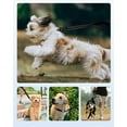 thumbnail image 5 of Dog Leash Heavy Duty for Large Dogs, 6FT Double Handle Dog Leash for Traffic Control, Black, 5 of 7