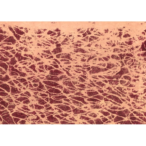 Ahgly Company Indoor Rectangle Abstract Brown Modern Area Rugs, 2' x 4'