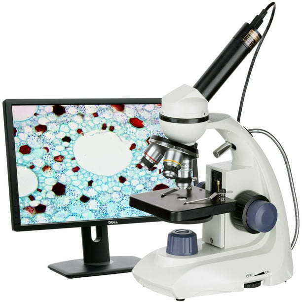 amscope 40x1000x dual led portable compound microscope with camera