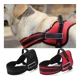 thumbnail image 3 of Correa De Pecho Nylon Para Perros, Entrenamiento Ajustable, 3 of 8