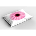 thumbnail image 2 of Ambesonne Pink and White Pillow Sham 2 Pack, Gerber Daisy, 36"x20", Pale Pink White, 2 of 3