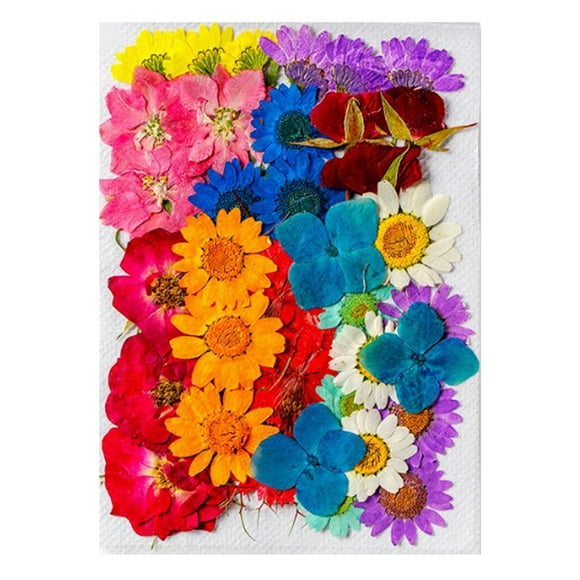 Cabeza de Flores SECAS, Flores SECAS Naturales 36 Piezas Estilos Surtidos Duraderos para la Artesanía