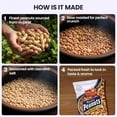 thumbnail image 7 of Jabsons - Roasted Peanuts Classic Salted (6 Pack) 160g, 7 of 7