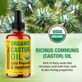 thumbnail image 6 of Seven Minerals 4oz Organic Castor Oil for Eyelashes, Eyebrows, Face & Hair Growth, 6 of 7