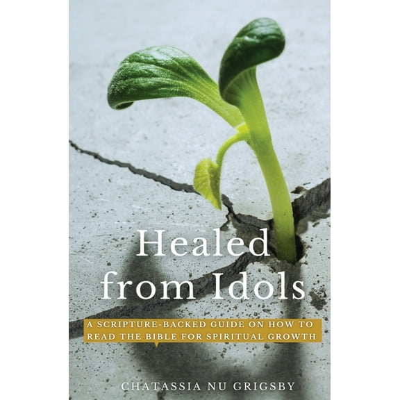 Healed from Idols: A Scripture-Backed Guide on How to Read the Bible for Spiritual Growth, (Paperback)