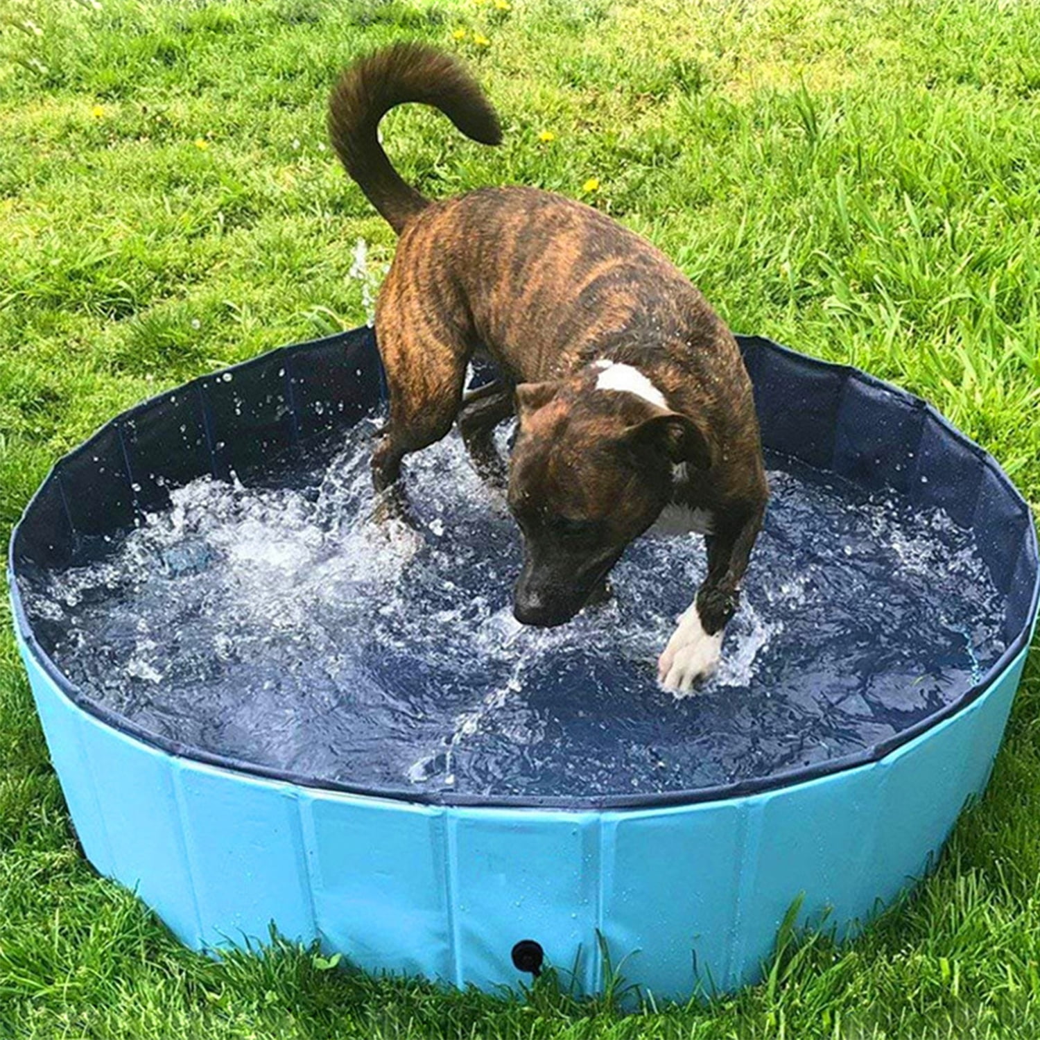 Yaheetech Foldable Pet Bath Pool Collapsible Large Dog Pet Pool Bathing Swimming Tub Kiddie Pool for Dogs Cats and Kids Blue/Red 