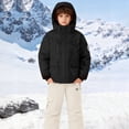 thumbnail image 2 of KAUOD Boys Ski Jackets Bib Overall Set 2 Piece Winter Waterproof Insulated Hooded Puffer Coats Snowpants Outfits Kids Snowsuits, 2 of 7