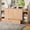 Golden, variant on CKEASEAN 93.5" Queen Size Wooden Modern Murphy Bed, Hideaway Folding Platform Bed Frame with Storage Cabinet & Drawer, Multi-Function Wall Beds with Open Shelves for Small Space, Easy Assembly
