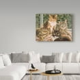 thumbnail image 3 of Trademark Fine Art 'The Gang Kitties' Canvas Art by Jan Benz, 3 of 3