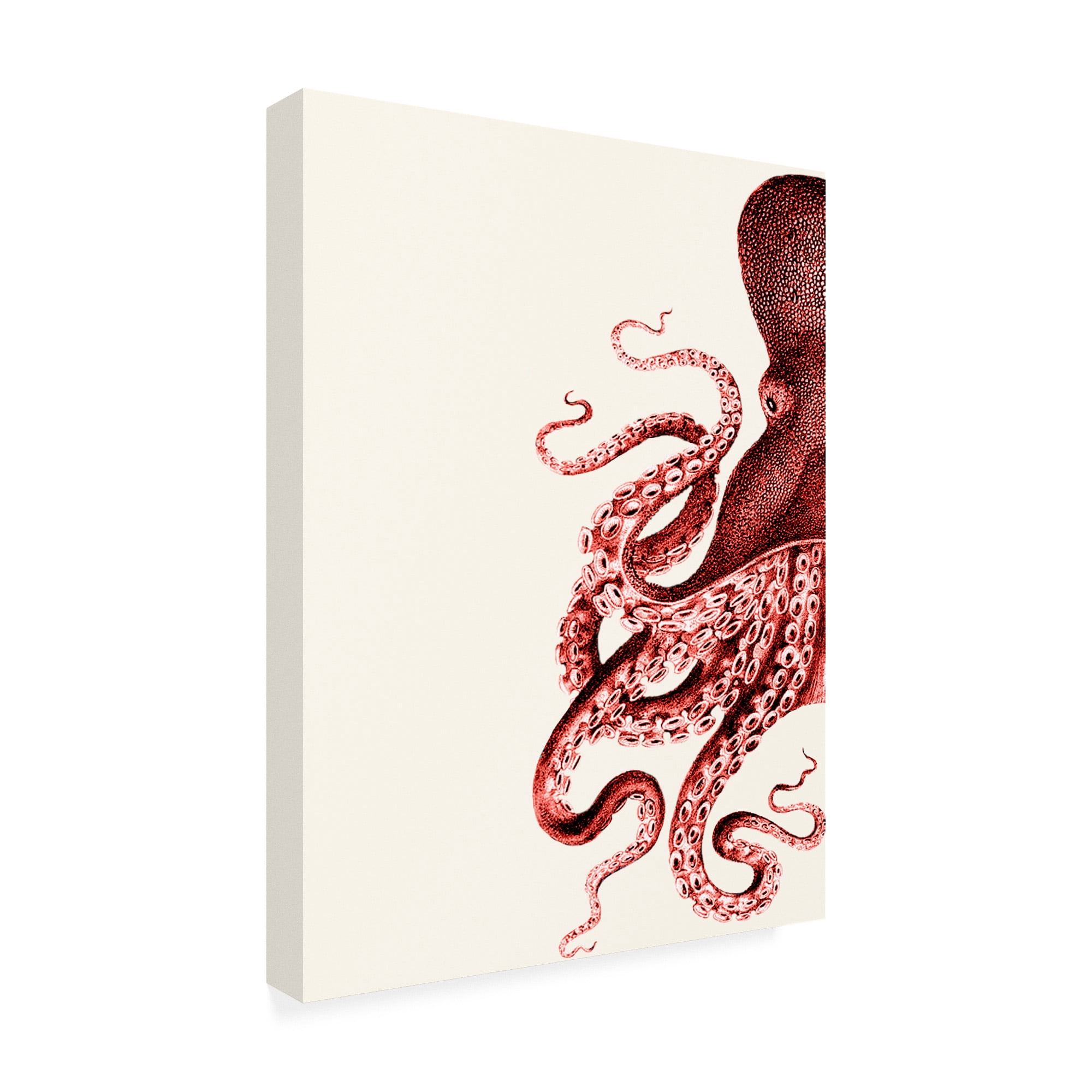 Trademark Fine Art 'Octopus Coral And Cream A' Canvas Art by Fab Funky