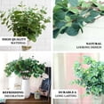 thumbnail image 4 of Efavormart 2 Pack | 19'' Tall Light Green Artificial Eucalyptus Sprays For Wedding Arch Gazebo Home Decoration, 4 of 10