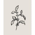 thumbnail image 3 of Caroline, Emma 20x24 Black Modern Framed Museum Art Print Titled - Loose Holly Sketch IV, 3 of 5