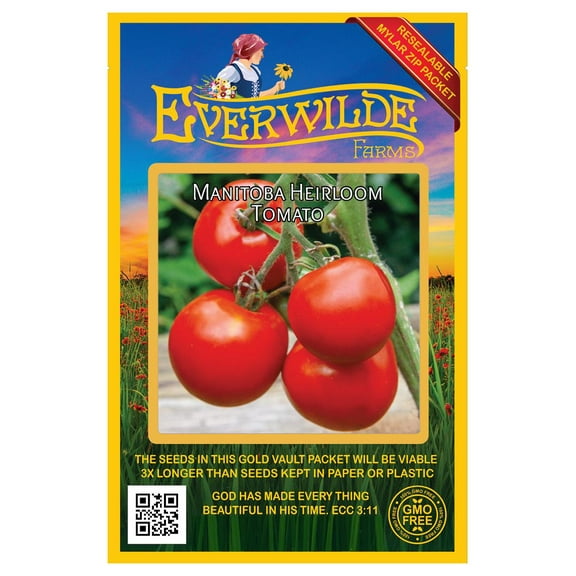 Everwilde Farms - 50 Manitoba Heirloom Tomato Seeds - Gold Vault Seed Packet