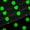 Black Green, variant on Feelyou Polkadot Black Out Curtains, Fashion Red Green Curtains Pack of 2 (42x63 Each)