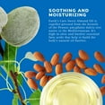 thumbnail image 5 of Earths Care Sweet Almond Oil - Expeller Pressed Almond Oil For Skin And Hair 8 Fl. Oz. (3 Bottles), 5 of 5