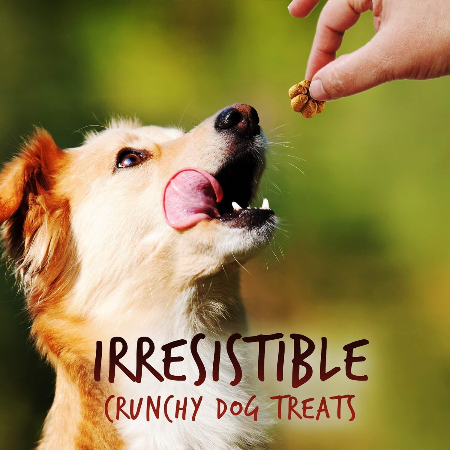 Fruitables Pumpkin Dog Treats, 7oz, Crunch Variety Pack of 6