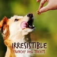 thumbnail image 4 of Fruitables Pumpkin Dog Treats, 7oz, Crunch Variety Pack of 6, 4 of 7