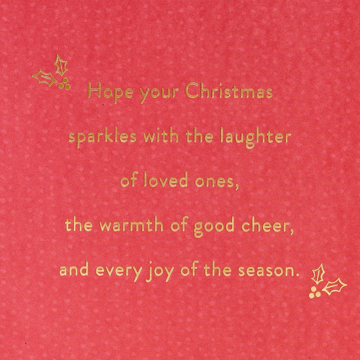 American Greetings Christmas Card for Anyone (Merry and Bright)