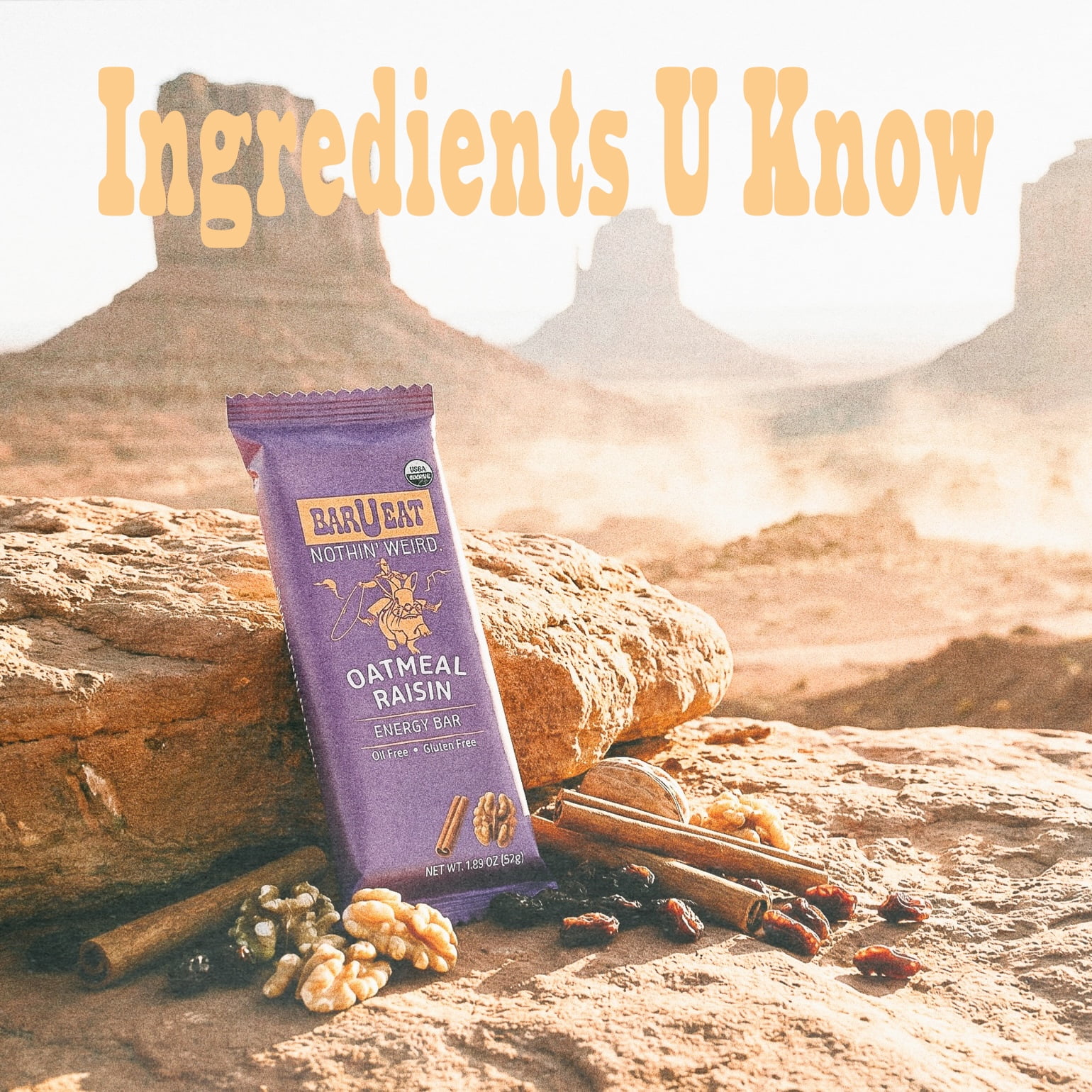 BAR-U-EAT Gluten-Free, Organic, Soft & Chewy Energy Bar. Whole Food Ingredients | Compostable Packaging | No Artificial Sugar | Healthy Snacks (Oatmeal Raisin 12 Pack)