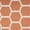 Coral, variant on Nourison Reversible Indoor Outdoor 8' x 10' Natural Modern Rug