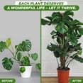 thumbnail image 5 of Poste de musgo flexible para plantas – 28 pulgadas (paquete de 2) – Soporte para escalada y crecimiento de plantas – Eleva tu jardín interior, 5 of 5
