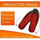 thumbnail image 4 of Plantillas térmicas con calefacción Plantillas térmicas con calefacción por USB Plantillas calentadoras de pies Plantillas calentadoras de pies Pesca en invierno Senderismo Camping Tamaño, 4 of 5