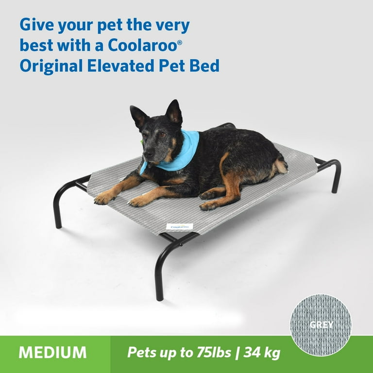 Coolaroo犬用ベッドMサイズ グレー Elevated dog bed Coolaroo Original Elevated Pet Dog Bed with Cot Cover