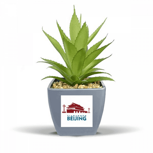 Tiananmen Vase Pot de Fleurs Ananas Faux Beijing Chine Mini Décor
