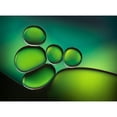 thumbnail image 3 of Hammer, Jacqueline 24x19 Black Modern Framed Museum Art Print Titled - Shades Of Green, 3 of 5