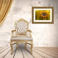 thumbnail image 3 of Disher, Mandy 24x17 Gold Ornate Wood Framed with Double Matting Museum Art Print Titled - Sunshine Daisy, 3 of 4