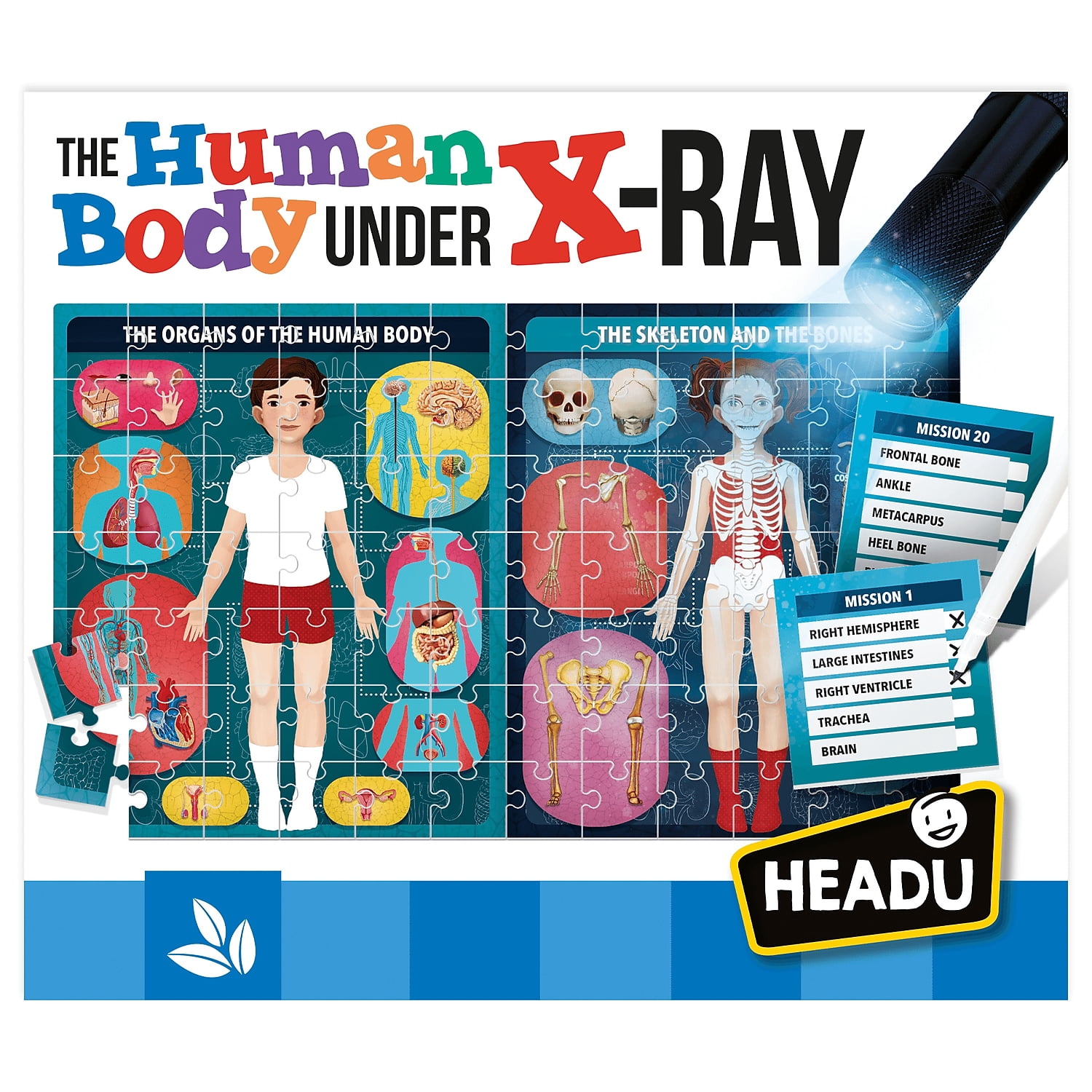 Headu The Human Body Under X-Ray 84 Piece Puzzle (HDUEN22762)