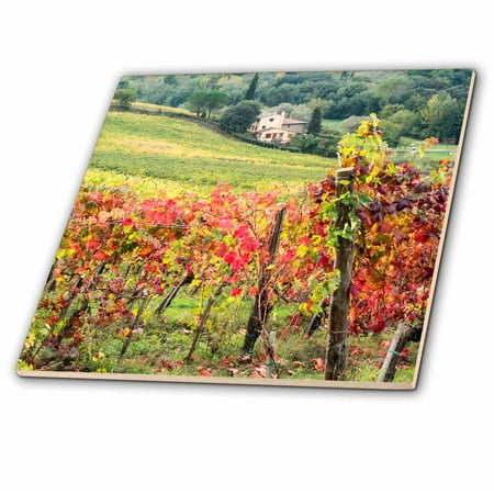 Tile Top Farm - 3dRose Farm house and vineyard in Italy. - Ceramic Tile, 4-inch
