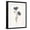 Black Frame, variant on Art.com Corn Blue-Bottle Art Print by Gwendolyn Babbitt, 12" x 16"