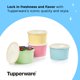 thumbnail image 5 of Juego de recipientes para almacenamiento de alimentos Tupperware Heritage, 8 piezas, 5 of 6