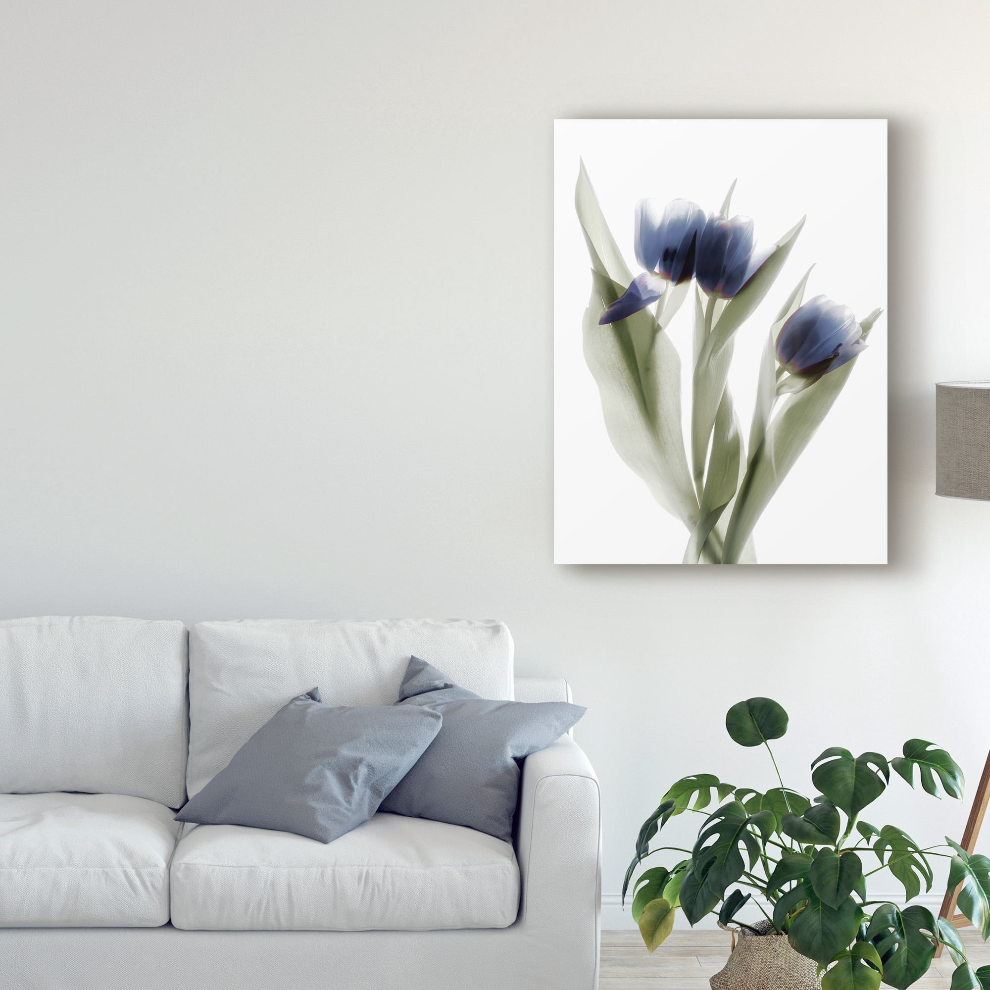 Trademark Fine Art 'Xray Tulip IX' Canvas Art by Judy Stalus