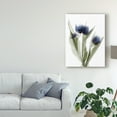 thumbnail image 3 of Trademark Fine Art 'Xray Tulip IX' Canvas Art by Judy Stalus, 3 of 4