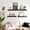 Black-15.6 inch, variant on Floating Shelves For Wall Storage Set Of 4  15.6 Inch Picture Ledge Shelf White With Lip Kitchen Bedroom Bathroom And Living Room